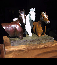 Wild Sky Farm Trophy for PCHA Pony Division